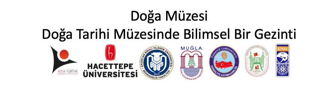 Doğa Müzesi